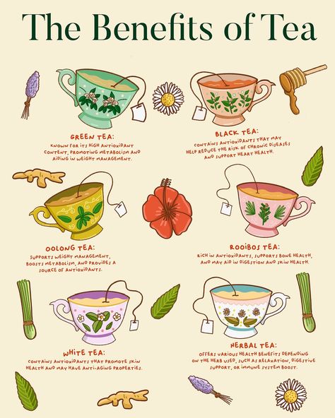 Loved this print I made for @teafulnyc !. 🌿 **Discover the Power of Tea!** 🍵✨ Swipe to explore the wonderful health benefits of different types of tea. Whether you're a fan of the classic black tea or love the subtle flavors of white tea, there's something for everyone. Let's sip to good health! 🍵 Green Tea: A powerhouse of antioxidants. 🖤 Black Tea: Perfect for heart health. 🌀 Oolong Tea: Boosts metabolism and aids in weight management. 🤍 White Tea: Known for its skin health benefits. ... Mint Tea Benefits Health, Pg Tips Tea, Types Of Tea And Benefits, Tea Types And Benefits, Herbs For Weight Management, Basil Tea Benefits, Sage Tea Benefits, Teavana Tea Recipes, Tea Benefits Health