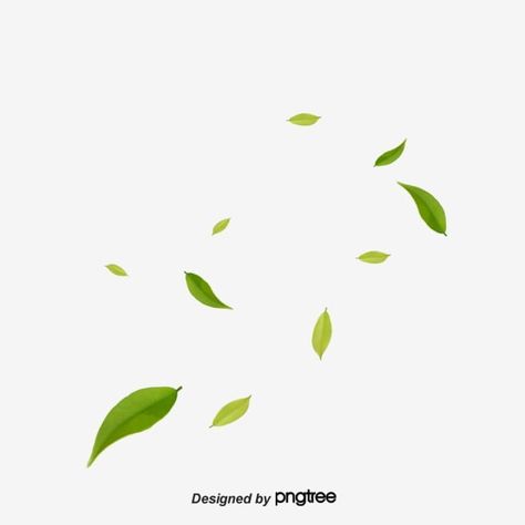 fresh,literature and art,leaf,plant,leaves,floating leaves,vibrant,wind,blowing,green,literature,art,floating Album Design Layout, Floating Leaves, Leaf Png, Floating Material, Profile Picture Images, Leaves Png, Flower Tattoo Shoulder, Church Poster Design, Wedding Album Design