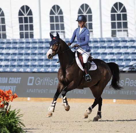 Oreo in the Mediums last weekend 😎✈️💙 . . #monksdiaradosboy #lsf #lionsharefarm #teamlionshare #blueeyedhorse #rideforacause #horsegirl #nyc #fashionschool #equestrian #lemieuxproductsofficial #lovelemieux #wellington #wellingtonfl #wef #florida #westpalmbeach Autumn Horse, Horse Aesthetic, Show Jumping, Horse Girl, School Fashion, I Fall, Wellington, Blue Eyes, Oreo