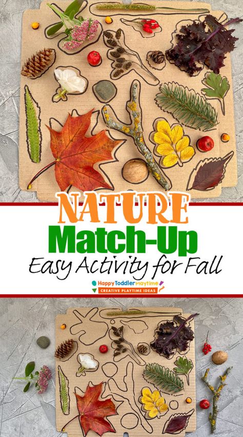 Autumn Learning Preschool, Fall Nature Sensory Bin, Tree Exploration Preschool, Fall Montessori Activities For Preschool, Preschool Natural Classroom Ideas, Nature Activity For Toddlers, Autumn Science Experiments For Kids, Halloween Nature Crafts For Kids, Harvest Toddler Activities