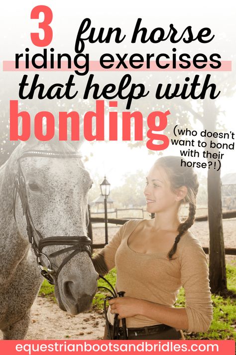 3 Fun Horse Riding Exercises for Bonding with a Horse – Equestrian Boots and Bridles Horse Training Schedule, Pole Exercises For Horses, Lunging Horse, Horse Bonding, Horse Groundwork, Liberty Horse Training, Horse Riding Exercises, Horsemanship Patterns, Equine Studies