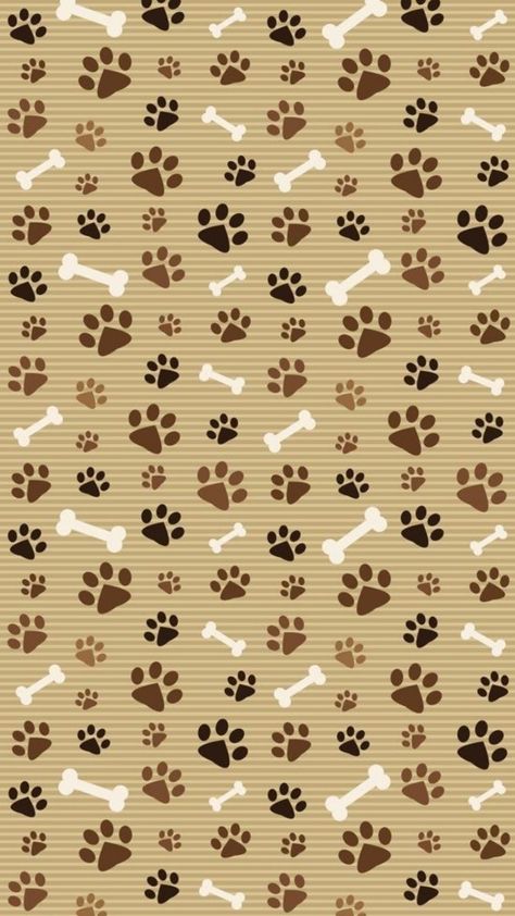 Dog Paws Wallpaper, Dog Background Wallpapers, Dog Paw Wallpaper, Paws Wallpaper, Paw Background, Paw Wallpaper, Dog Skull, Dog Background, Colorful Hairstyles