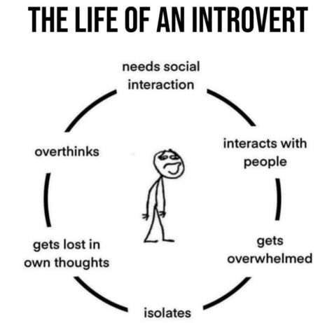 Introvert Memes | @allaboutintroverts | Instagram Introvert Meme, Introvert Jokes, Memes Facebook, Introvert Girl, Introvert Personality, Introvert Quotes, Infj Personality, Christian Memes, Introverted