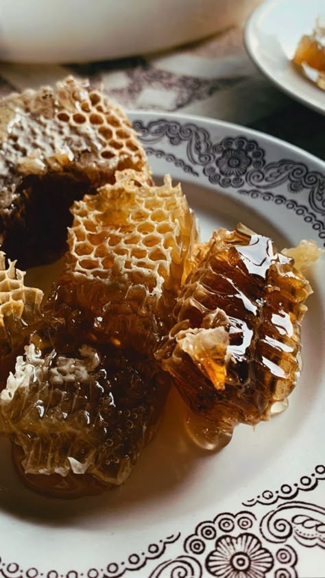 Honeycomb Aesthetic, Honey Aesthetic, Cheesy Bread, Honey Bees, Bee Keeping, Interesting Food Recipes, Pretty Food, Honey Bee, Farm Life