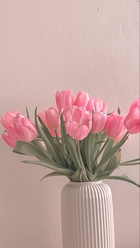 Aesthetic minimal Spring Iphone Aesthetic, Pink Designer Aesthetic, Pink Vision Board Pictures, Pink Tulips Aesthetic, Tulipanes Aesthetic, Tulips Flowers Aesthetic, Pastel Tulips, Tulips Aesthetic, Wallpers Pink