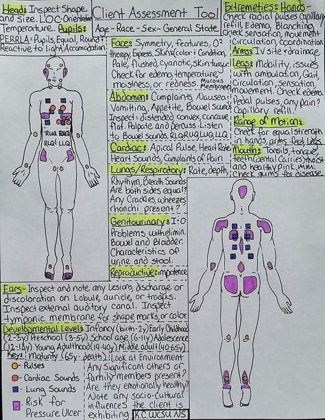 Head to toe assessment cheat sheet Medical School Notes, Nursing Study Tips, Nursing Cheat Sheet, Nursing Information, Nursing Cheat, Notes Study, Nursing Assessment, Nursing School Survival, Fundamentals Of Nursing