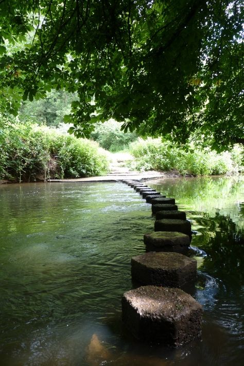 the river mole, surrey, england - may, spring 2013  - via anna ferenczy Box Hill, River View, Water River, Pictures Of England, The River, Water Views, English Countryside, Land Scape, Pretty Places