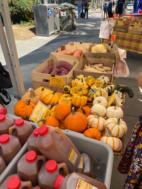 Fall Farmers Market Aesthetic, Fall Atheistic, Autumn Farmers Market, Fall Cafe, Fall Farmers Market, Fall In Texas, Farmers Market Aesthetic, Autumn Market, Tis Autumn