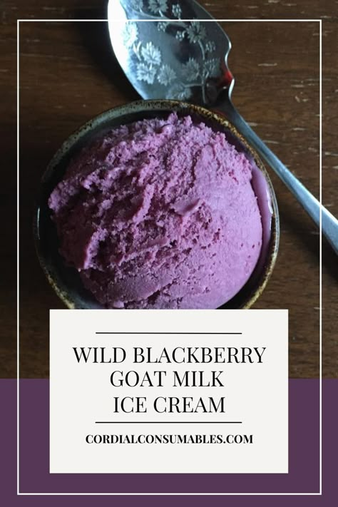 Blackberry season just got tastier. Goat milk and wild berries pair so nicely together to make a lucious, creamy ice cream. Milk Ideas, Saveur Recipes, Goat Milk Products, Blackberry Ice Cream, Goat Milk Recipes, Custard Ice Cream, Creamy Ice Cream, Homestead Kitchen, Dairy Free Ice Cream