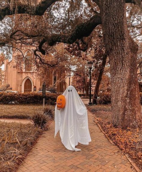 Days Until Halloween, Halloween Wallpaper Cute, Holiday Countdown, Halloween Inspo, Season Of The Witch, Theme Halloween, Halloween Inspiration, Fall Pictures, A Ghost