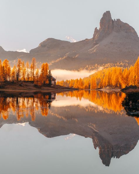 Fall in the Dolomites 💛🧡🌲 little throwback to last years Autumn road trip along Europe! lol there’s not a year going by that im not dreaming of having a 7 months long fall season. Can’t wait to show you guys where I am heading this year! Will slowly start to post some content of the recent years, cause it was way to pretty to not share it again and again! 🇮🇹🍂 Last photo taken by my friend @katha.ventures 💛 #autum #fallseason #fallcolors #dolomites #dolomites4you #dolomitesworld #italytrave... Autumn Road Trip, North Italy, Fall Road Trip, The Dolomites, Pretty Landscapes, 7 Months, Travel Videos, Travel Information, Fall Season