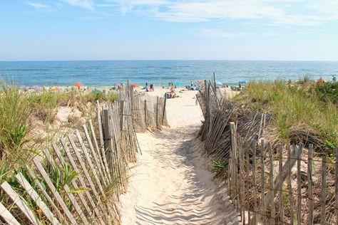 Grab your beach bag and head to these sandy shorelines for a refreshing escape. Best East Coast Beaches, East Coast Vacation, Prettiest Beach, East Coast Beaches, Best Beaches To Visit, Hampton Beach, Philippines Travel, Beaches In The World, Tonga