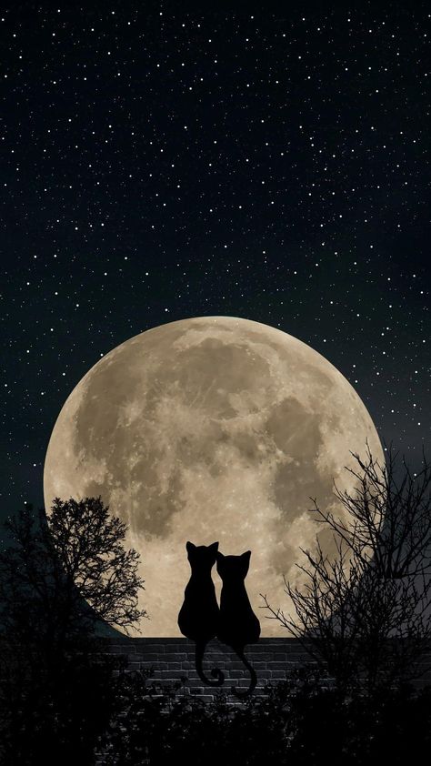 Eevee Wallpaper, Pretty Phone Backgrounds, Cats Art Drawing, Pretty Wallpapers Tumblr, Animal Illustration Art, Dreamy Artwork, Space Artwork, Moon Photography, Cute Patterns Wallpaper