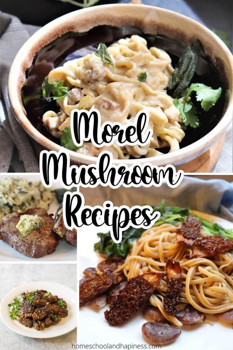 Morel Mushroom Recipes Dried Morel Mushroom Recipes, Morel Recipes, Morel Mushroom Recipes, Mushrooms Sauteed, Spring Snacks, Poached Lobster, Morel Mushrooms, Mushroom Grow Kit, Mushroom Cream Sauces