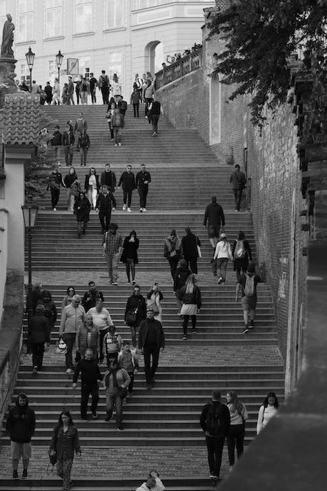 Free stock photo of adult, black and white background, black and white city, black and white cover photos, bw, bw film, bw photography, canon, canon90d, child, city, crossing, crowd, czech, czech republic, czechia, efrem, europe, group, group together, man, pavement, people, pexels, prague, road, several, shadow, step, street, vehicle, woman Nursing Essay, City Black And White, Street Photography People, City Streets Photography, Background Black And White, Black And White People, Building Photography, Black And White City, City People