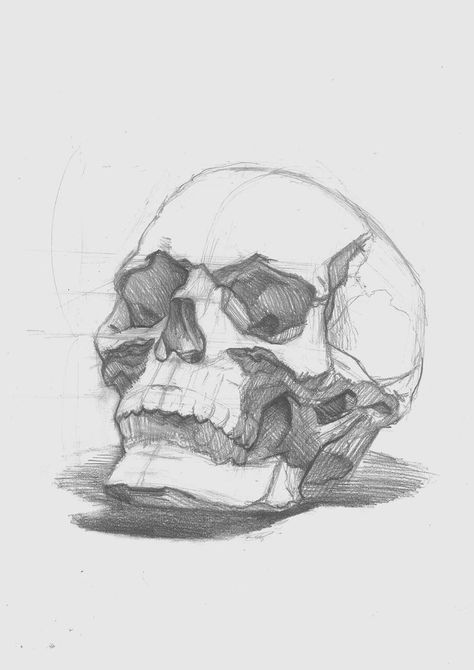 Halloween Drawing Ideas, Skull Sketch, Skeleton Drawings, Skull Art Drawing, Human Anatomy Drawing, Skulls Drawing, Seni Dan Kraf, Human Anatomy Art, Skull Drawing