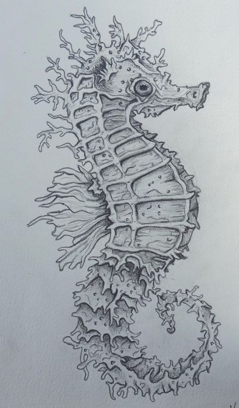 Sea Horse Character Design, Seahorses Drawings, Seahorse Drawing Sketches, Sea Horse Drawings, Under The Sea Sketch, Seahorse Sketch, Mental Crisis, Seahorse Drawing, Black Pen Drawing