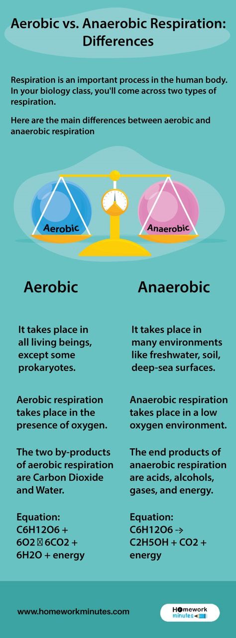 Aerobic And Anaerobic Respiration Notes, Anaerobic Respiration Notes, Aerobic Respiration Notes, Aerobic And Anaerobic Respiration, Aerobic Respiration, Science Flashcards, Anaerobic Respiration, Emt Study, Gcse Biology