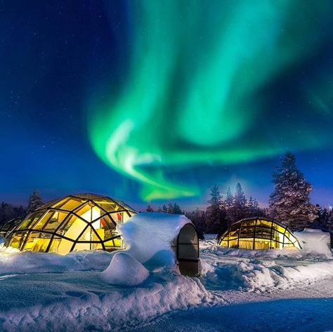 Stay a night in these glass-domed igloos in Finland to see the northern lights like never before. ( Image Credit: @alaa_oth). . . . #finland #northernlights #aurora #auroraborealis #snow #igloo #Scandinavia #lights #arctic #snowylandscape #green #earthpix #mothernature #earth #travel #travelblog #travelphotography #naturephotography Kakslauttanen Arctic Resort, Artic Circle, Paradise Travel, See The Northern Lights, Destination Voyage, The Aurora, The Northern Lights, Winter Vacation, Photography Tutorials