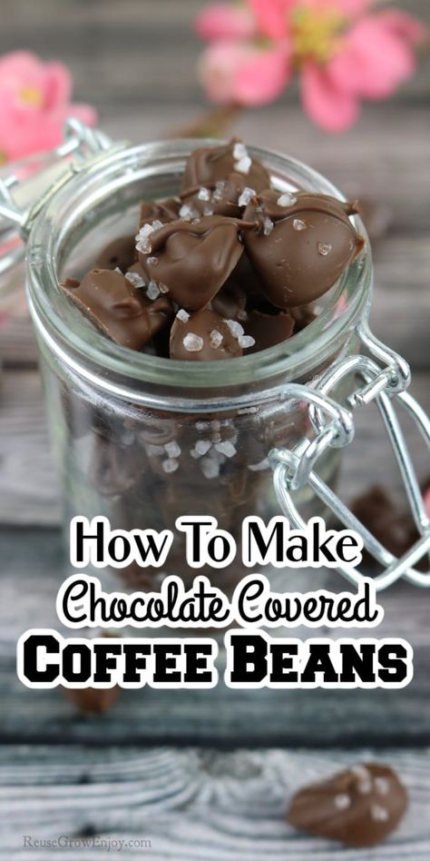 Looking for a sweet treat that is also a pick me up? These chocolate covered coffee beans are hands down one of my favorites! Easy to make! Desserts Dipped In Chocolate, Chocolate Covered Coffee Beans Diy, How To Make Chocolate Covered Coffee Beans, Chocolate Covered Treats Ideas, Chocolate Covered Coffee Beans Recipe, Dance Snacks, Candy Business, Chocolate Coffee Beans, Chocolate Dipping