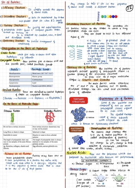 Control And Coordination Notes, Bio Molecules, Chemistry Flashcards, Zoology Notes, Chemistry Formulas, Class 12 Notes, Chem Notes, Notes Biology, Formula Sheet