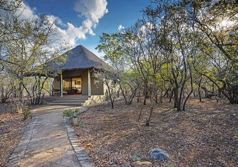 Bush House, Beauty Of Africa, Bush Lodge, Safari Camp, Farm Plans, Peaceful Home, Safari Lodge, Garden Yard Ideas, Container Homes