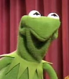 Kermit Face, Kermit The Frog Meme, Kermit Meme, Elmo And Friends, Frog Meme, Kermit Funny, Frog Wallpaper, Silly Puppets, Frog Drawing