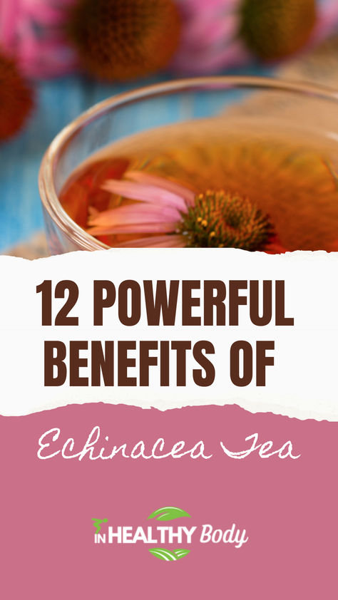 Echinacea tea with echinacea pink flowers. Benefits Of Echinacea, Echinacea Tea Recipes, Echinacea Tea Benefits, Tea With Honey, Echinacea Benefits, Common Diseases, Echinacea Tea, Echinacea Purpurea, Boost Your Immune System