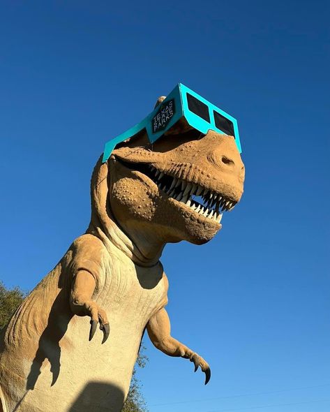 Not Cedar Park, but shout out to @dinovalleysp for these amazing images! 👏 👏 Texas is now officially ready for the eclipse!! #dinosaurvalleystatepark #trex #eclipse2024 #cedarparkmomvlog 🌕🌖🌗🌘🌑🌔🌓🌒 Dinosaur Valley State Park, Dinosaur Images, The Eclipse, Amazing Images, Image Fun, State Park, The Park, Shout Out, This Weekend