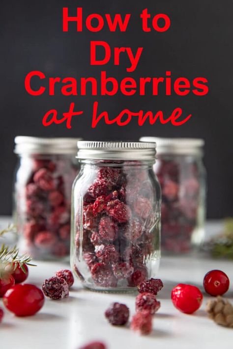 Drying Cranberries In Oven For Potpourri, How To Dry Fresh Cranberries, Dehydrated Cranberries In Dehydrator, How To Make Dried Cranberries, Diy Dried Cranberries, Drying Cranberries In Oven, Dehydrating Cranberries In Dehydrator, How To Grow Cranberries, Homemade Dried Cranberries