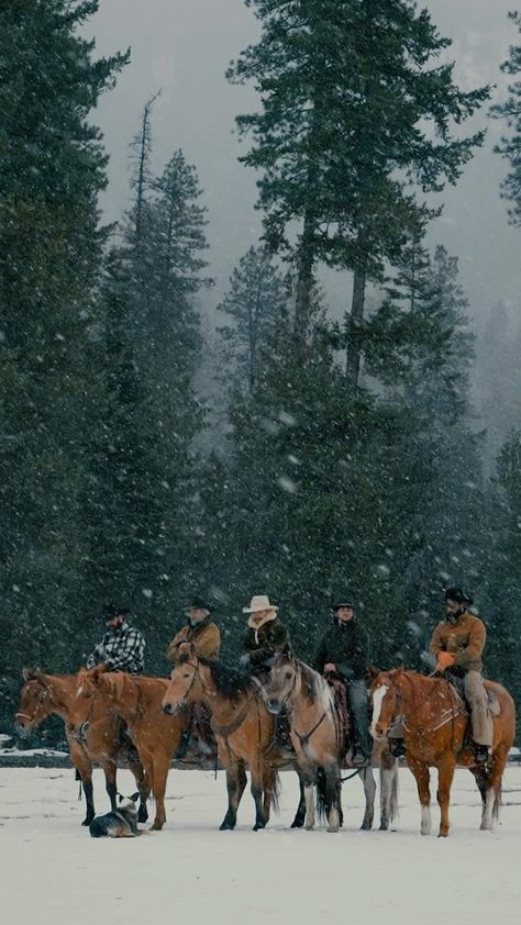 Winter Horse, Cowboy Pictures, Cute Horse Pictures, Western Wallpaper Iphone, Western Life, Horse Aesthetic, Western Aesthetic, Cowboy Art, Ranch Life