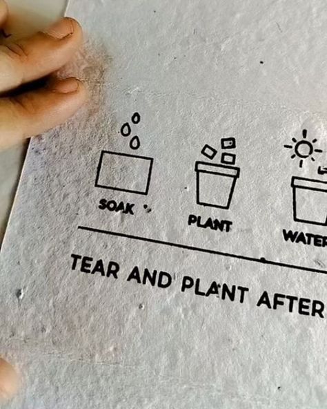 🌱💌 Say hello to our newest eco-friendly addition: Thank You notes made from seed paper! 🌿 We've been on a journey to embrace sustainability, from cloth bags to paper tapes, and now, these plantable notes! Simply tear, soak, water, and grow! 🌻 Plus, we've included a cute illustration to guide you. Let's keep it green together! Sustainability Brochure, Eco Friendly Packaging Ideas, Paper With Seeds, Contact Card Design, Seeded Paper, Eco Friendly Laundry, Plantable Paper, Brochure Ideas, Eco Materials