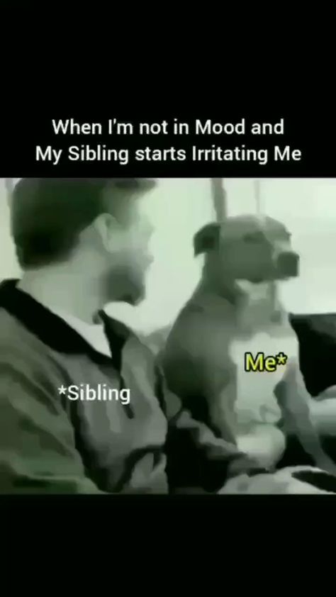 Siblings Funny Quotes, Siblings Funny, Not Musik, Weird Quotes Funny, Funny Blogs, Latest Funny Jokes, Funny Images Laughter, Funny Animal Jokes, Very Funny Jokes