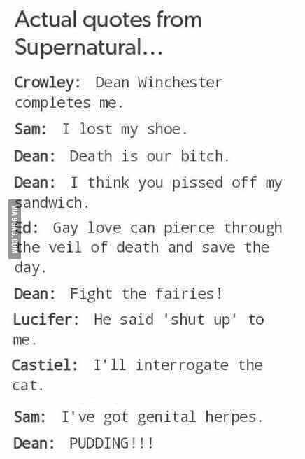 PUDDING!! - 9GAG Humour, Spn Memes, Supernatural Quotes, Supernatural Destiel, Cat Quotes Funny, Supernatural Memes, Supernatural Fans, Supernatural Funny, Supernatural Cast