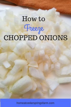 Freeze Onions, Freezing Onions, Freezing Food Guide, Desserts Nutella, Freezing Vegetables, Freezing Fruit, Freezer Meal Prep, Frozen Veggies, Food Saver