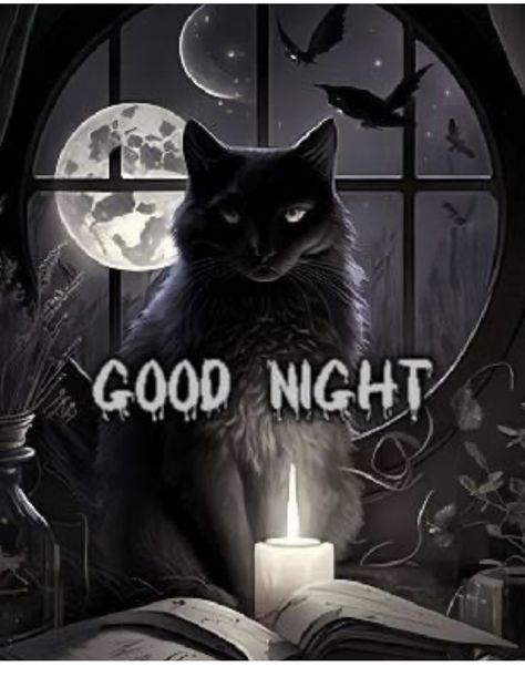 Good Night Halloween Images, Goodnight Sweetheart, Fantasy Cats, Dreamy Images, Night Greetings, Night Friends, Night Gif, Cute Good Night, Good Night Friends