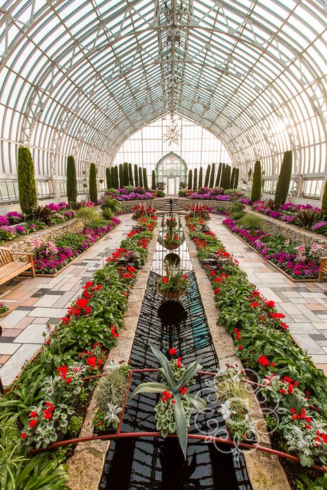 Como Park Conservatory, Conservatory House, Como Conservatory, Garden Wedding Photos, Conservatory Wedding, Winter Greenhouse, Park Project, Minnesota Nice, Anime Pixel