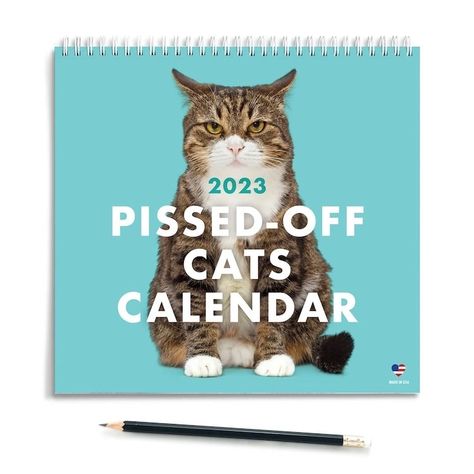 Funny 2023 Cat Calendar Shows 'Pissed Off' Felines All Year Long