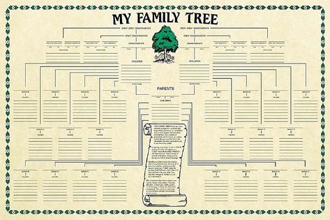 Family Tree Print, Ancestry Family Tree, Genealogy Forms, Family Tree Project, Genealogy Chart, Family Tree Chart, Family Tree Genealogy, Family Tree Template, Genealogy Free