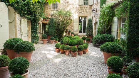 Gardening Lessons from the Quietly Stunning Landscapes of Provence | MONTECRISTO French Country Courtyard, European Backyard, Country Courtyard, Betty Catroux, Courtyard House Plans, Outdoor Dining Room, Stunning Landscapes, Outdoor Living Room, Courtyard House