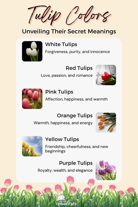 Tulip Color Meaning, Flowers Chart, Colors And Their Meanings, Tulip Flower Pictures, Tulip Seeds, Tulips Meaning, Complex Emotions, Color Knowledge, Flower Types