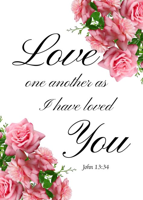 Love one another, with pink roses. Love One Another Bible Verse, Gods Love Scripture, Love One Another Scripture, Scriptures About Love, Love One Another Quotes, Another Poster, Animated Pics, John 13 34, Love Scriptures