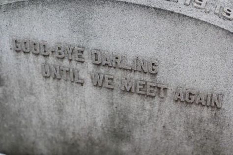 Until We Meet Again, Eliza Taylor, Terry Pratchett, Meet Again, A Series Of Unfortunate Events, Six Feet Under, We Meet Again, Oscar Wilde, Shadowhunters