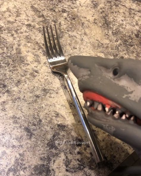 Shark Puppet ✪ on Instagram: “Fork make light - - - Backup @thesharkpuppet - - - - - - - #meme #memes #dankmeme #dankmemes #edgy #edgymemes #doggo #offensivememes…” Shark Puppet, The Shark, How To Make Light, Edgy Memes, Sharks, Dankest Memes, Puppets, Random Stuff, Tik Tok