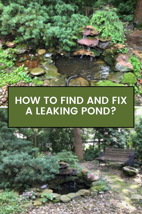 How to find and fix a leaking pond? Preformed Pond, Pond Liner, The Pond, How To Find, First Step, Repair, Canning