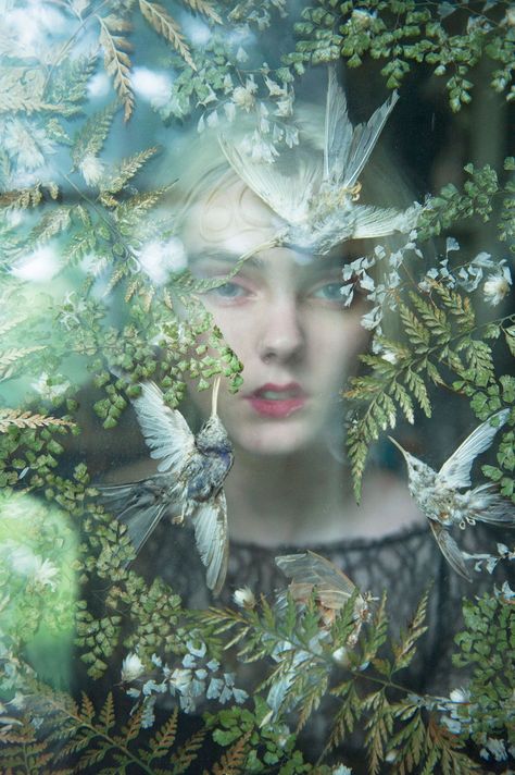 Frida Art, Pre Raphaelite, Foto Art, Trik Fotografi, Arte Fantasy, Fairy Land, 인물 사진, Enchanted Forest, Fantasy World