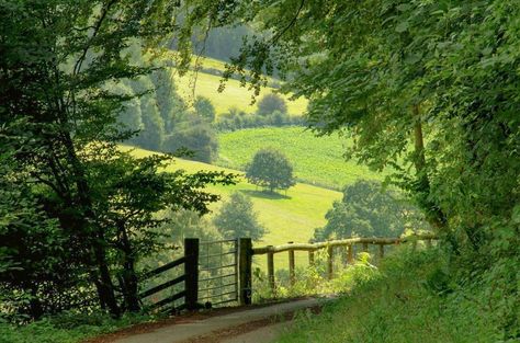 Dirt Road, Jolie Photo, English Countryside, Nature Aesthetic, Pretty Places, Green Aesthetic, Country Life, Farm Life, Pretty Pictures