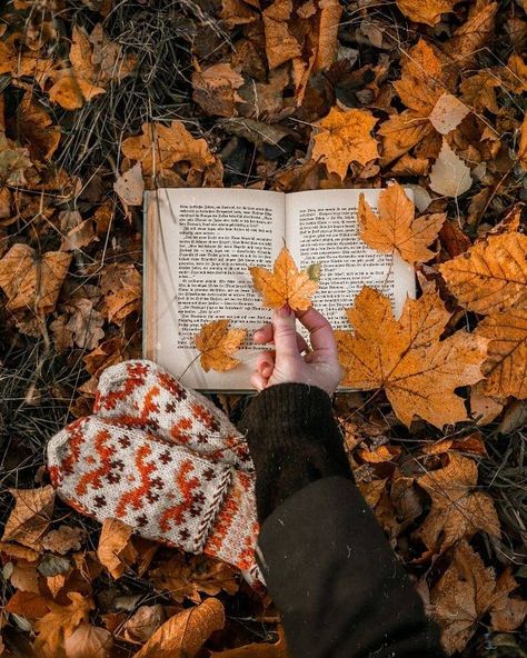 Autumn And Books Aesthetic, Fall Book Photography, Instagram Photo Inspiration Fall, Fall Aesthetic Reading, Autumn Aesthetic 2023, Reading Aesthetic Autumn, Fall Bookish Aesthetic, Autumn Book Photography, Autumn Jewelry Aesthetic