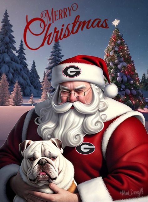 Uga Bulldog Drawing, Uga Football Iphone Wallpaper, Georgia Bulldogs Quotes, Ga Football, Georgia Bulldog Mascot, Georgia Christmas, Bulldog Wallpaper, Georgia Bulldawgs, Bulldog Drawing