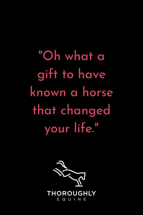 A pink quote on a solid black background. The quote reads "Oh what a gift to have known a horse that changed your life." There is a white Thoroughly Equine logo at the bottom of the image with a simple outline of a bucking horse. Equestrian Motivation Quotes, Horse Life Quotes, Equestrian Life Quotes, Heart Horse Quote, Horse Quotes Meaningful Short, Equestrian Quotes Inspirational, Horse Quotes Meaningful, Horse Girl Quotes, Horse Love Quotes